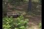 Another Bench