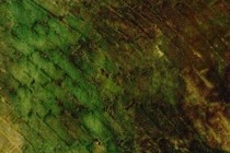 175130-210x140