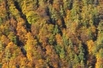 175252-210x140