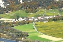 175236-210x140