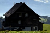 175267-210x140