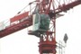 Crane