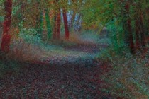 175520-210x140