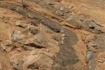 176396-210x140