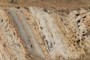 Core section