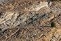 Shale section