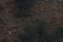 Trail