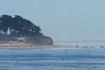 176706-210x140