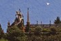 Statua e gabbiano