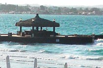 177396-210x140