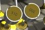Tappet Shims