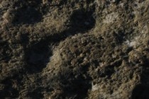 177554-210x140