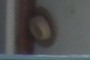 Hat on a Wall