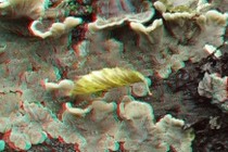 177669-210x140