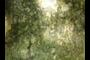 Panoramic Photographer's Enemy Number 1