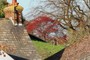 360 degrees
