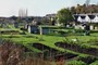 This allotment