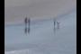 Beach Walkers