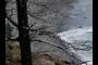 Rocky Beach
