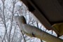 Gutter