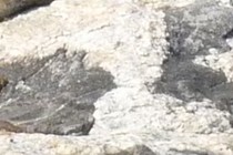 179482-210x140