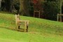 Your armchair journey awaits.