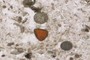 Volcanic Glass