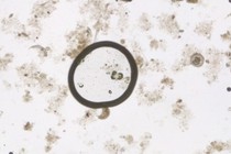 179610-210x140