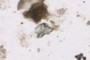 Volcanic Glass