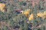 Camouflaged House