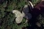 Mariposario