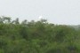 The Assaria, KS water tower