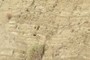 overbank deposits