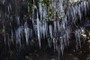 Icicles