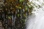 Water, Snow and Ice