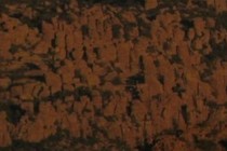 182508-210x140