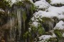 colored icicles