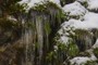 Really big icicles