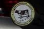 Sticker Says Mooooo!