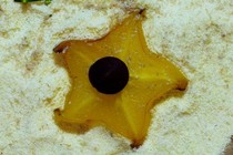 183323-210x140