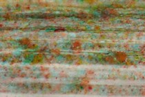 183214-210x140