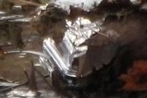 183384-210x140