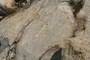 Metamorphic deformation 