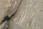 Plagioclase Boudins 