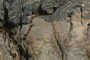 Contact between all three types of rock.