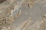 Igneous Dike