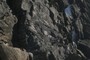 Pillow Basalts