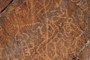 Petroglyphs