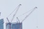 Two construction cranes