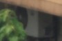 AC131